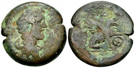 Antoninus Pius AE Drachm, Alexandria 

Antoninus Pius (138-161 AD). AE Drachm (31 mm, 17.59 g), Egypt, Alexandria, year 14.
Obv. AYT K T AIΛ AΔP AN...