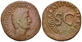 Augustus AE As, P. Lurius Agrippa 

Augustus (27 BC-14 AD). AE As (27 mm, 8.87 g), Rome, 7 BC, Publius Lurius Agrippa, moneyer.
Obv. CAESAR AVGVST ...