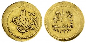 Mahmud II AV 1/4 Zeri Mahbub AH 1223/10 

Ottoman Empire. Mahmud II (AH 1223-1255/1808-1839 AD). AV 1/4 Zeri Mahbub AH 1223/10 (1817) (14 mm, 0.81 g...