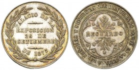 Chile AR Medal 1875, International exhibition 

Chile. AR Medal 1875 (30 mm, 12.55 g), International exhibition: "Recuerdo a las señoras y señoritas...