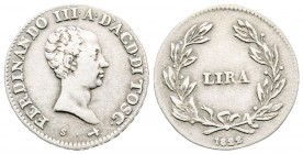 Firenze, Ferdinando III di Lorena 1814-1824
Lira, 1822, AG 3.88 g.
Ref : MIR 438/2 (R), CNI 22
Conbservation : TTB