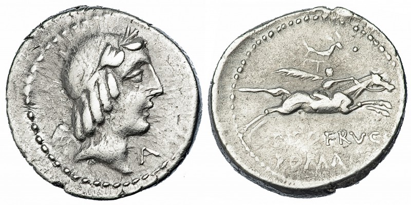 CALPURNIA. Denario. Roma (90-89 a. C.). R/ Jinete con palma a der.; L. PISO FRVG...