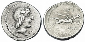 CALPURNIA. Denario. Roma (90-89 a. C.). R/ Jinete con palma a der.; L. PISO FRVGI ROMA. FFC-230. SB-12b. MBC-.