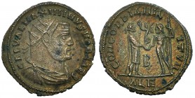 MAXIMINO II. AE, fracción radiada. Alejandría (305-306). Marca: B en el campo; ALE en el exergo. R/ CONCORDIA MILITVM. RIC-60b. MBC/MBC+. Ex C. Dattar...