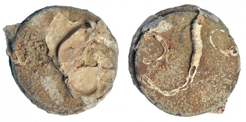 Bloque de 3 monedas de 8 reales procedente de "El Cazador". Concreciones marinas...