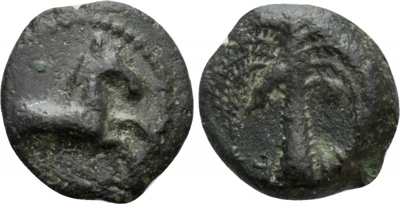 SICILY. Motya. Ae (Circa 400-397 BC)

Obv: Forepart of horse right. Rev: Palm ...