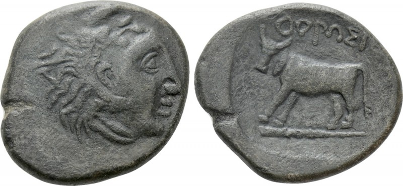 THRACE. In the name of the Odrysians(?). Ae (Circa 340 BC)

Obv: Head of Herak...