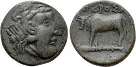 THRACE. In the name of the Odrysians(?). Ae (Circa 340 BC)
