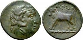 THRACE. In the name of the Odrysians(?). Ae (Circa 340 BC)
