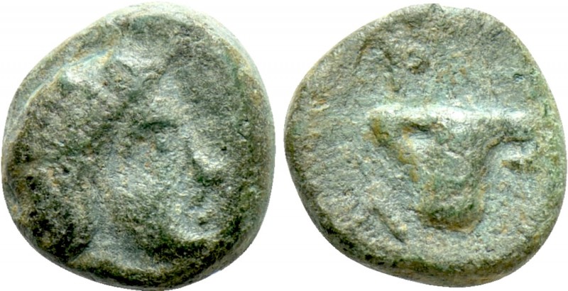 KINGS OF THRACE. Uncertain ruler. Ae (5th-4th BC)

Obv: Female head right. Rev...