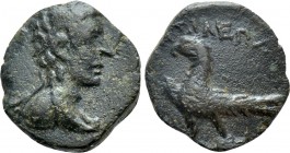 KINGS OF THRACE (Odrysian [Astaian]). Kotys IV (57-50/48 BC). Ae. Odessos or Bizye