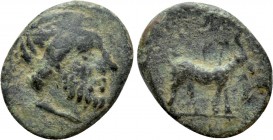CYCLADES. Syros. Ae (3rd-1st centuries BC)