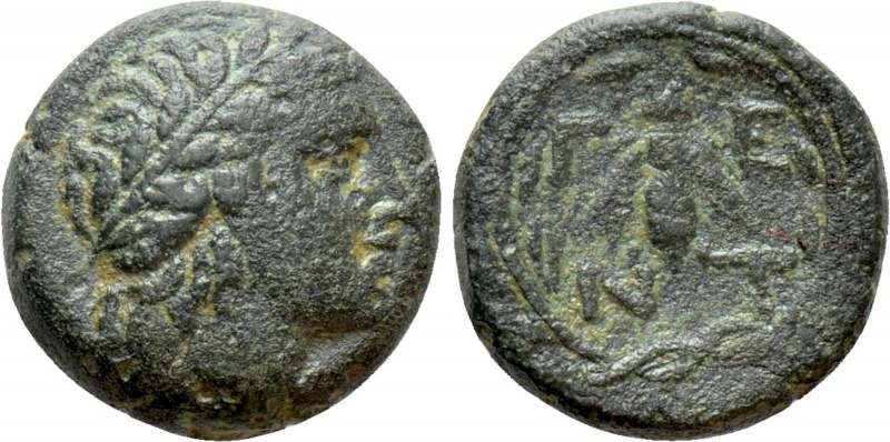 TROAS. Gentinos. Ae (3rd-1st centuries BC)

Obv: Laureate head of Apollo right...