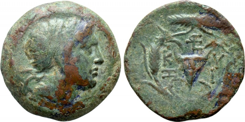 MYSIA. Kyzikos. Ae (3rd century BC)

Obv: Head of Kore Soteira right, wearing ...