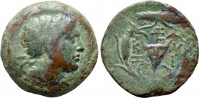 MYSIA. Kyzikos. Ae (3rd century BC)