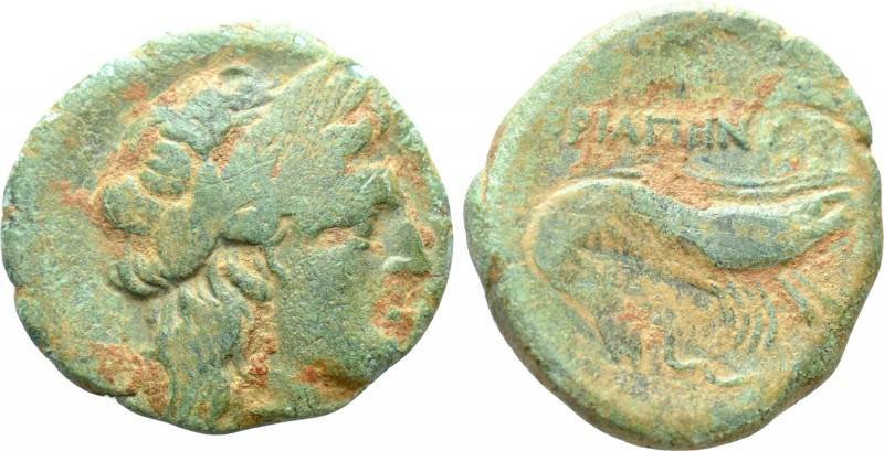 MYSIA. Priapos. Ae (Circa 1st century BC)

Obv: Laureate head of Apollo right....