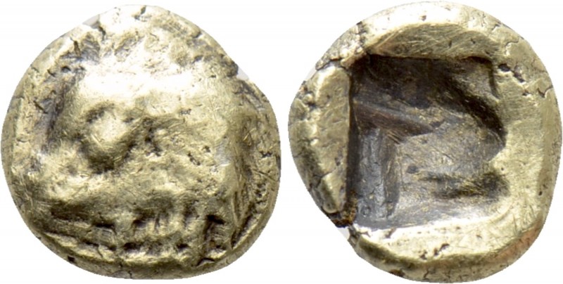 IONIA. Phokaia. Fourrée 1/48 Stater (Circa 625/0-522 BC)

Obv: Head of seal le...