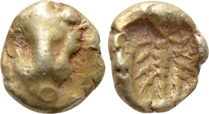 CARIA. Mylasa. EL 1/48 Stater (Mid 6th century BC)

Obv: Facing head of lion. ...