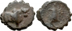 KINGS OF CAPPADOCIA. Ariarathes V Eusebes Philopator (Circa 163-130 BC). Serrate Ae