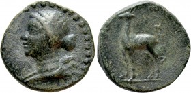 KINGS OF CAPPADOCIA. Ariarathes X Eusebes Philadelphos (42-36 BC). Ae. Eusebeia under Mt. Argaios