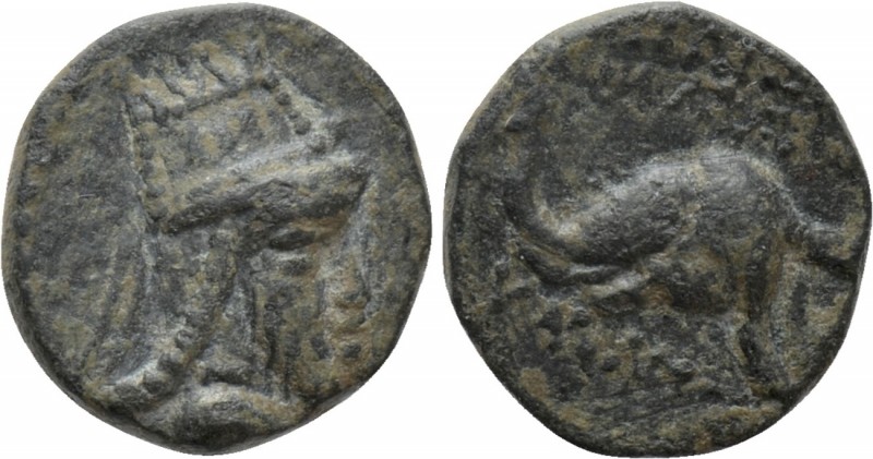 KINGS OF ARMENIA. Tigranes V (Circa 6-12). Ae

Obv: Head right, wearing Armeni...