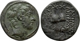SELEUKID KINGDOM. Antiochos X Eusebes Philopator (Circa 94-88 BC). Ae. Antioch