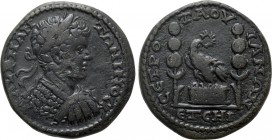 GALATIA. Tavium. Caracalla (198-217). Ae. Dated CY 218 (193/4)