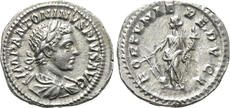 ELAGABALUS (218-222). Denarius. Rome

Obv: IMP ANTONINVS PIVS AVG. Laureate an...