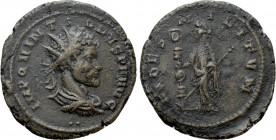 QUINTILLUS (270). Antoninianus. Cyzicus