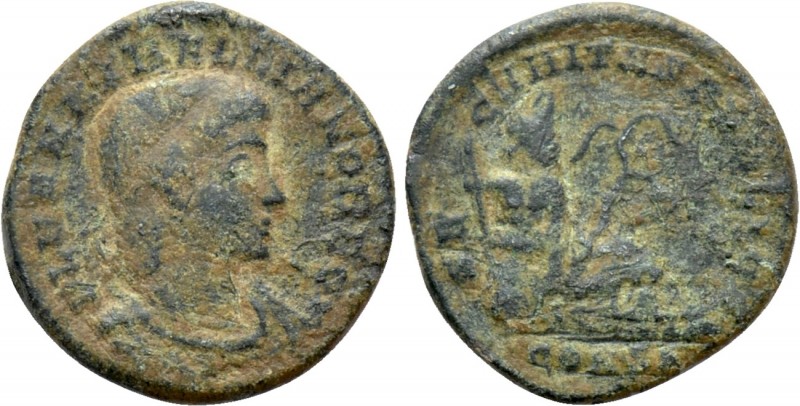 HANNIBALLIANUS (Rex Regum, 335-337). Follis. Constantinople

Obv: FL HANNIBALI...