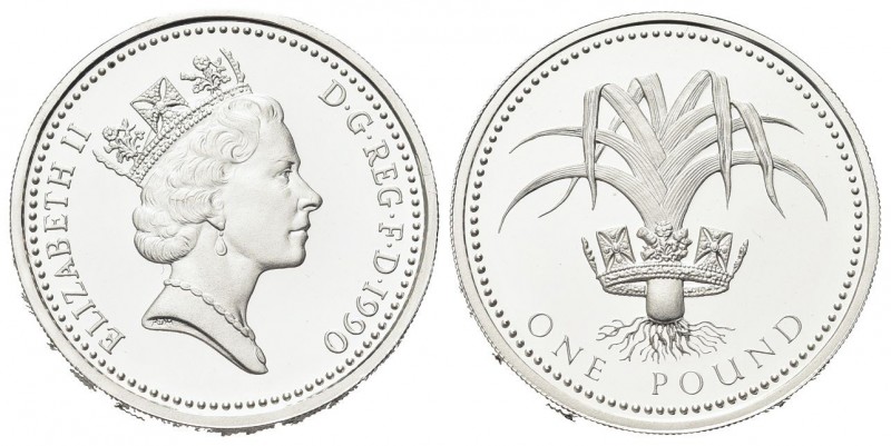 GRAN BRETAGNA
Elisabetta II, dal 1952.
Pound 1990, Welsh Leek.
Ag 
gr. 9,57...