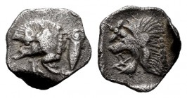 Mysia. Kyzikos. Hemiobol. 475-400 BC. (Gc-3850). Anv.: Forepart of boar, behind tunny. Rev.: Head of lion left. Ag. 0,37 g. Choice VF. Est...35,00. 
...