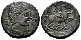 Bilbilis. Unit. 120-30 BC. Calatayud (Zaragoza). (Abh-258). (Acip-1573). Anv.: Male head to right, in front of dolphin, behind BI. Rev.: Rider with sp...