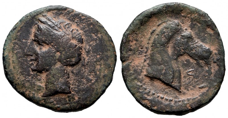 Carthage Nova. Calco. 220-215 BC. Cartagena (Murcia). (Abh-511). (Acip-579). (C-...