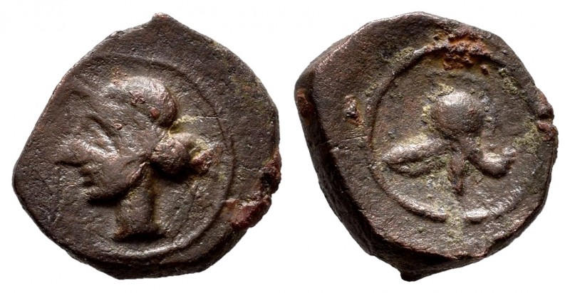 Carthage Nova. 1/4 calco. 220-215 BC. Cartagena (Murcia). (Abh-521). Ae. 1,88 g....