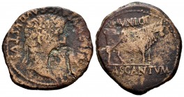 Cascantum. Time of Tiberius. Unit. 14-36 BC. Cascante (Navarra). (Abh-691). (Acip-3157). Anv.: Laureate head of Tiberius on the right, around TI CAESA...