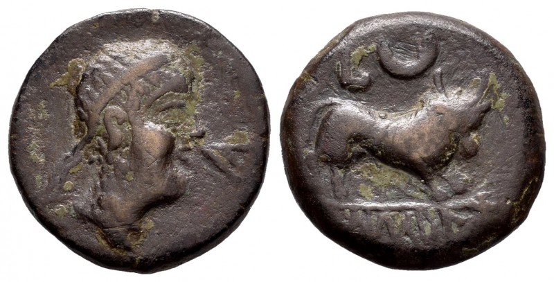 Kastilo-Castulo. Half unit. 180 BC. Cazlona (Jaén). (Abh-722). (Acip-2156). Ae. ...