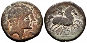 Kelse-Celsa. Unit. 120-50 BC. Velilla de Ebro (Zaragoza). (Abh-771). (Acip-1483). (C-11). Anv.: Bare male head right with three dolphins around. Rev.:...