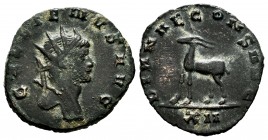 Gallienus. Antoninianus. 260-268 AD. Rome. (Ric-181). (Mir-747b). Anv.: GALLIENVS AVG, radiate head right . Rev.: DIANAE CONS AVG, antelope walking le...