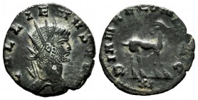 Gallienus. Antoninianus. 260-268 AD. Rome. (Ric-181). (Mir-747b). Anv.: GALLIENVS AVG, radiate head right . Rev.: DIANAE CONS AVG, antelope walking ri...