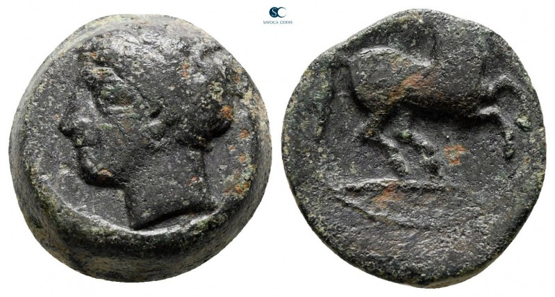 Sicily. Carthaginian Domain circa 375-350 BC. 
Bronze Æ

13 mm, 3,56 g


...