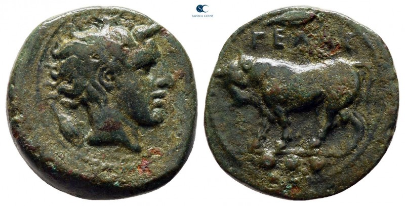 Sicily. Gela circa 420-405 BC. 
Bronze Æ

15 mm, 3,77 g



very fine