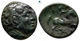 Kings of Macedon. Pella. Antigonos II Gonatas 277-239 BC. Bronze Æ