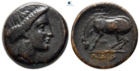 Thessaly. Larissa circa 320-290 BC. Bronze Æ