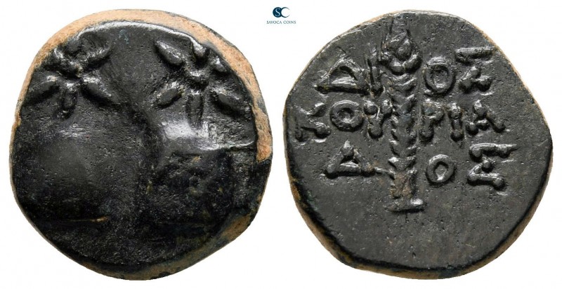 Colchis. Dioskourias circa 105-90 BC. 
Bronze Æ

13 mm, 2,91 g



very fi...