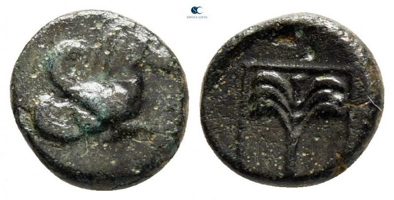 Troas. Skepsis circa 400-310 BC. 
Bronze Æ

9 mm, 0,84 g



very fine