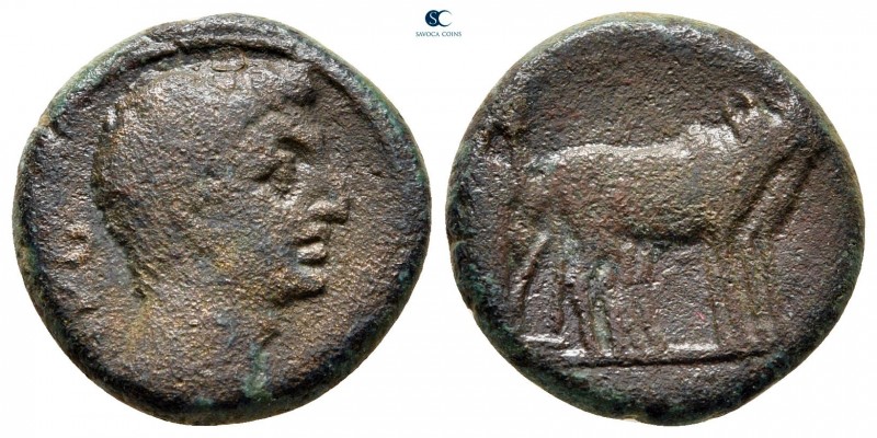 Macedon. Uncertain (Philippi?). Augustus 27 BC-AD 14. 
Bronze Æ

16 mm, 4,83 ...