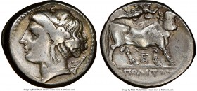 CAMPANIA. Neapolis. Ca. 275-250 BC. AR didrachm or stater (21mm, 7.20 gm, 11h). NGC Choice Fine 5/5 - 3/5. Head of nymph left, wearing broad, beaded h...