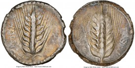 LUCANIA. Metapontum. Ca. 540-510 BC. AR stater (28mm, 7.31 gm, 12h). NGC (photo-certificate) VF 5/5 - 2/5, edge chips. MET, seven-grained barley ear w...