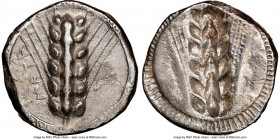 LUCANIA. Metapontum. Ca. 470-440 BC. AR stater (20mm, 12h). NGC XF, brushed. META, six-grained barley ear; dotted border on raised rim / Incuse six-gr...